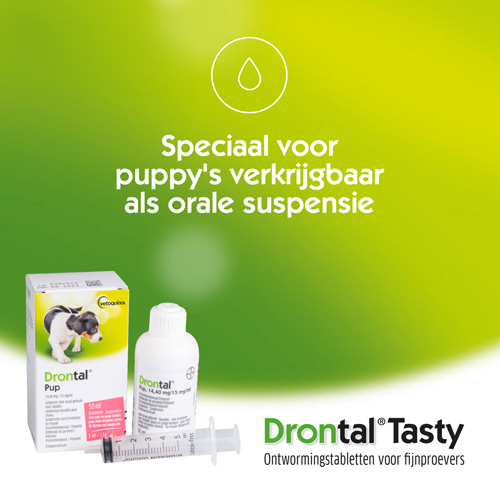 Drontal-Tasty-NL-05
